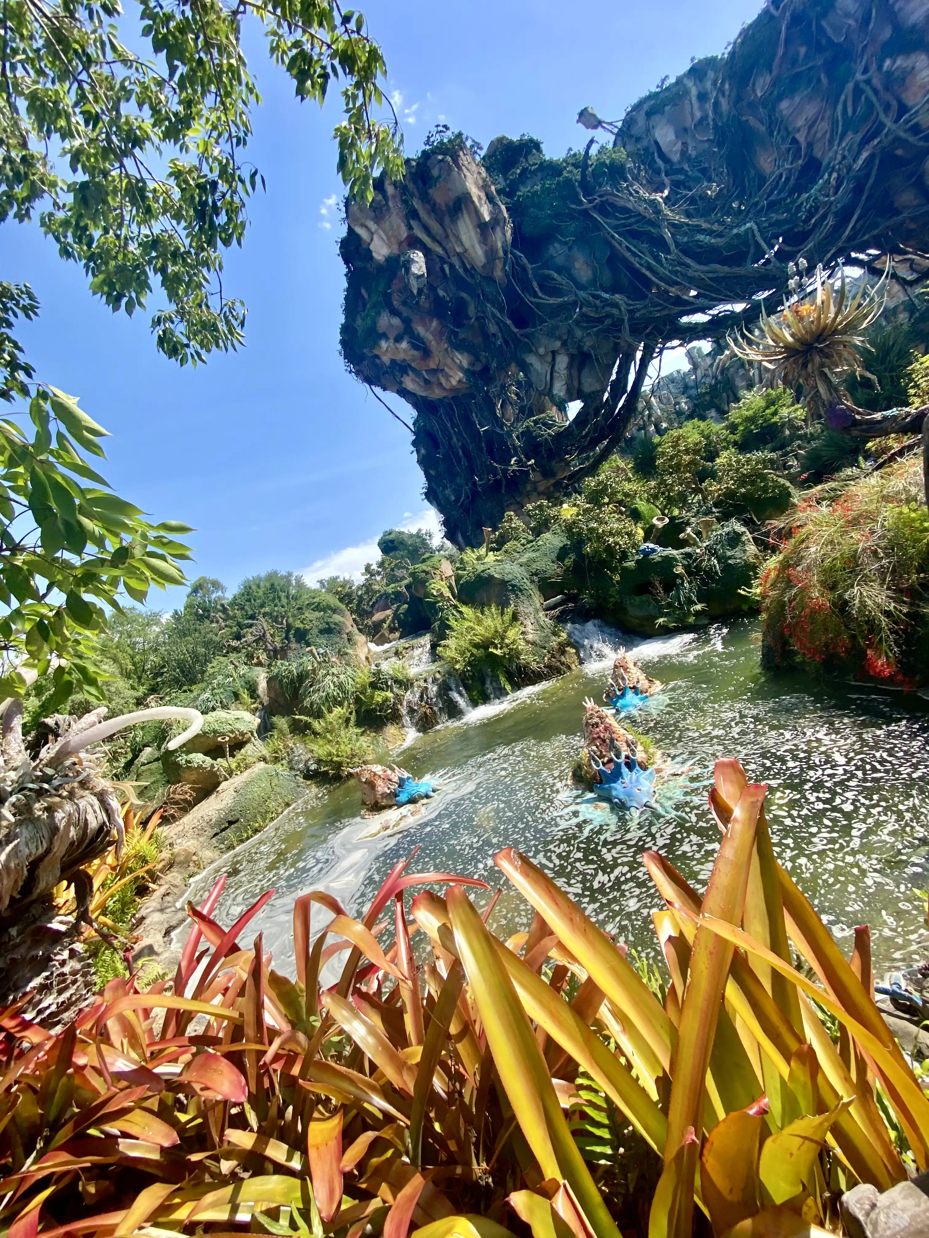 Disney's Animal Kingdom® Theme Park