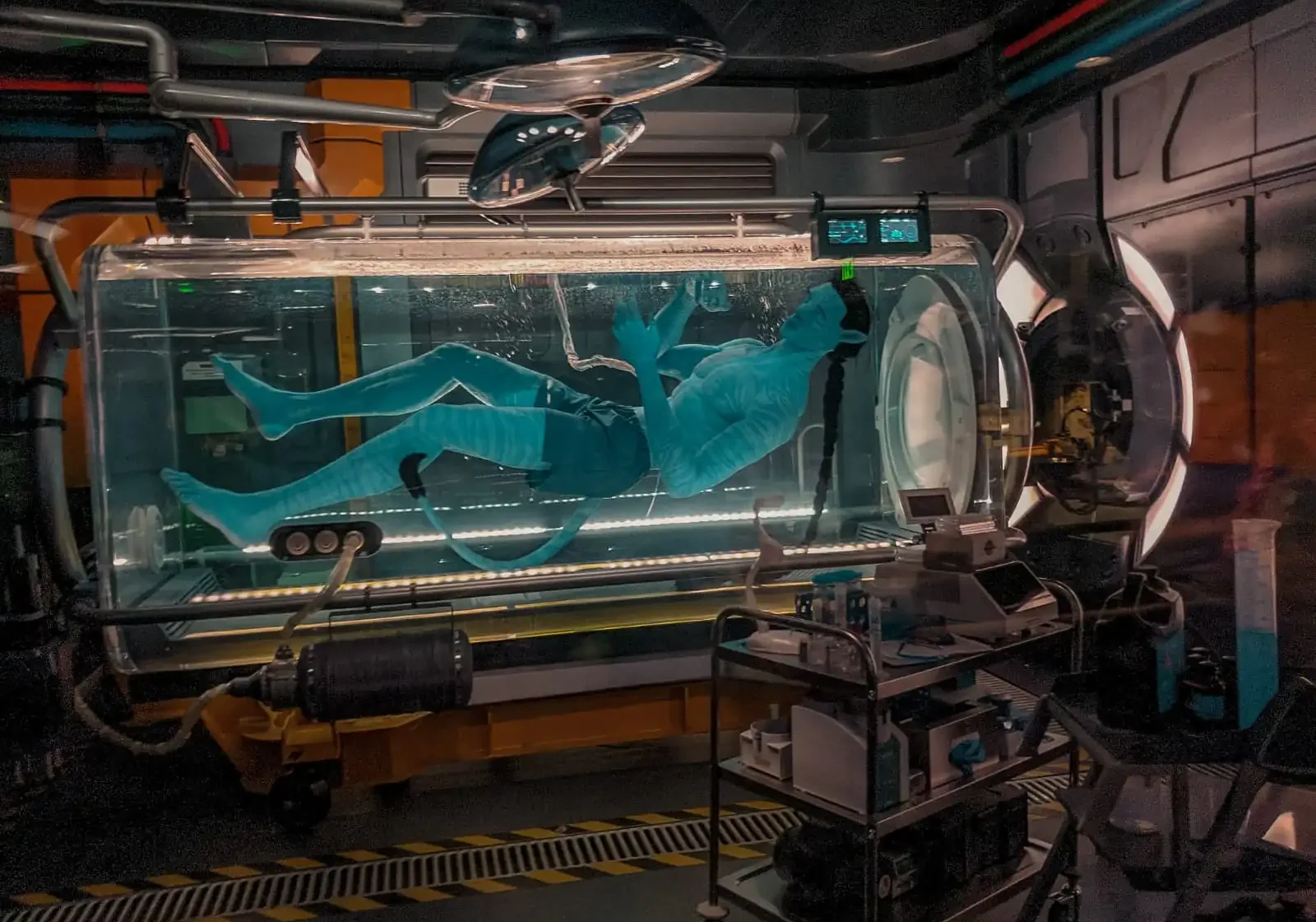 ¿Cómo es el mundo de Avatar en Disney_ Foto 2 Na’vi en la parte de la fila de la atracción | FOTO: Rocío Solange Gadischeski